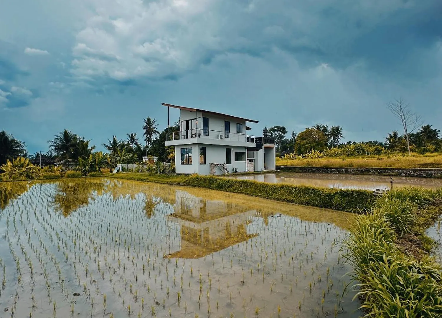 לינה וארוחת בוקר Vila Pondok Damuh Ubud אינדונזיה