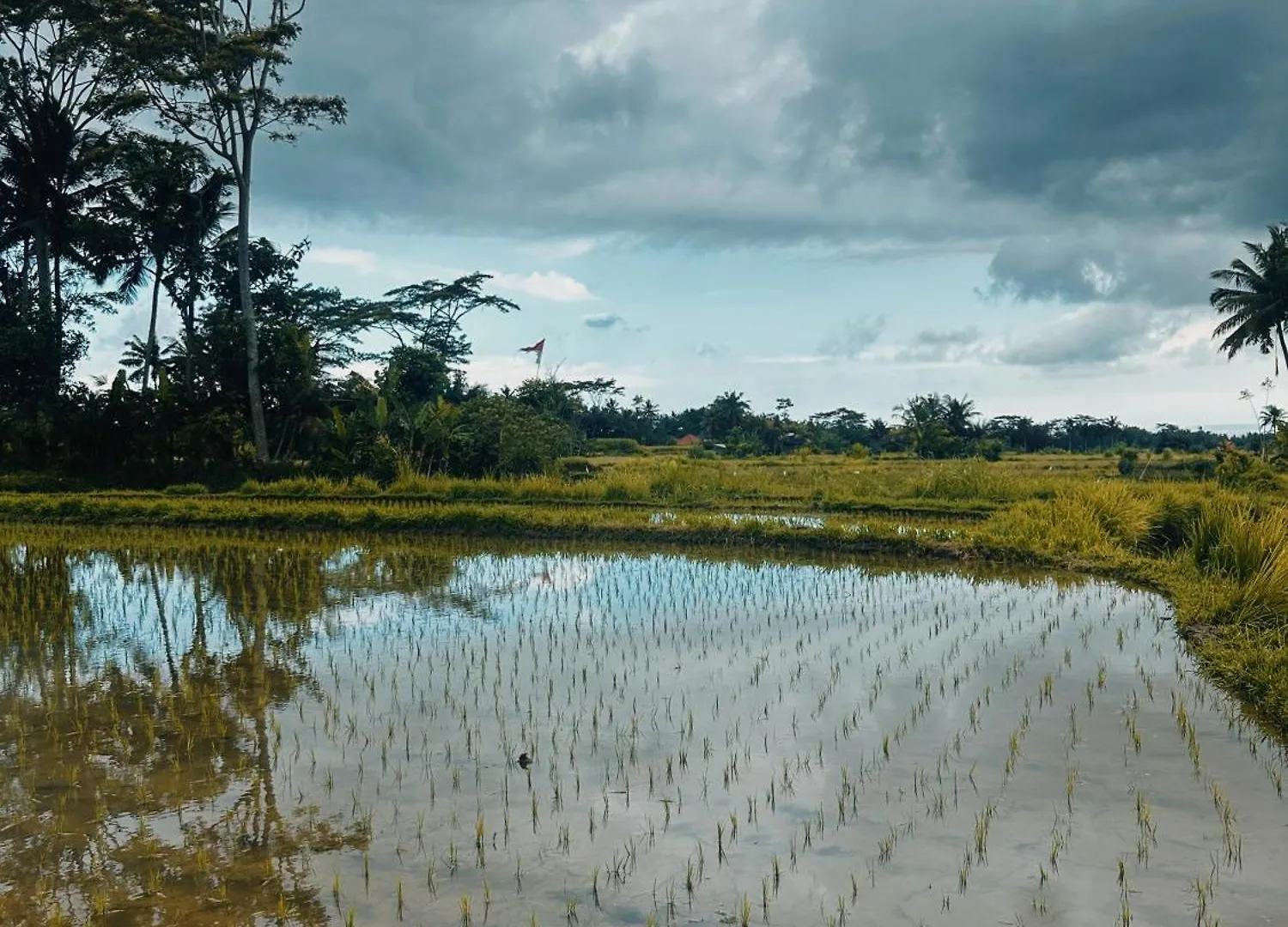 Vila Pondok Damuh Ubud Indonesia