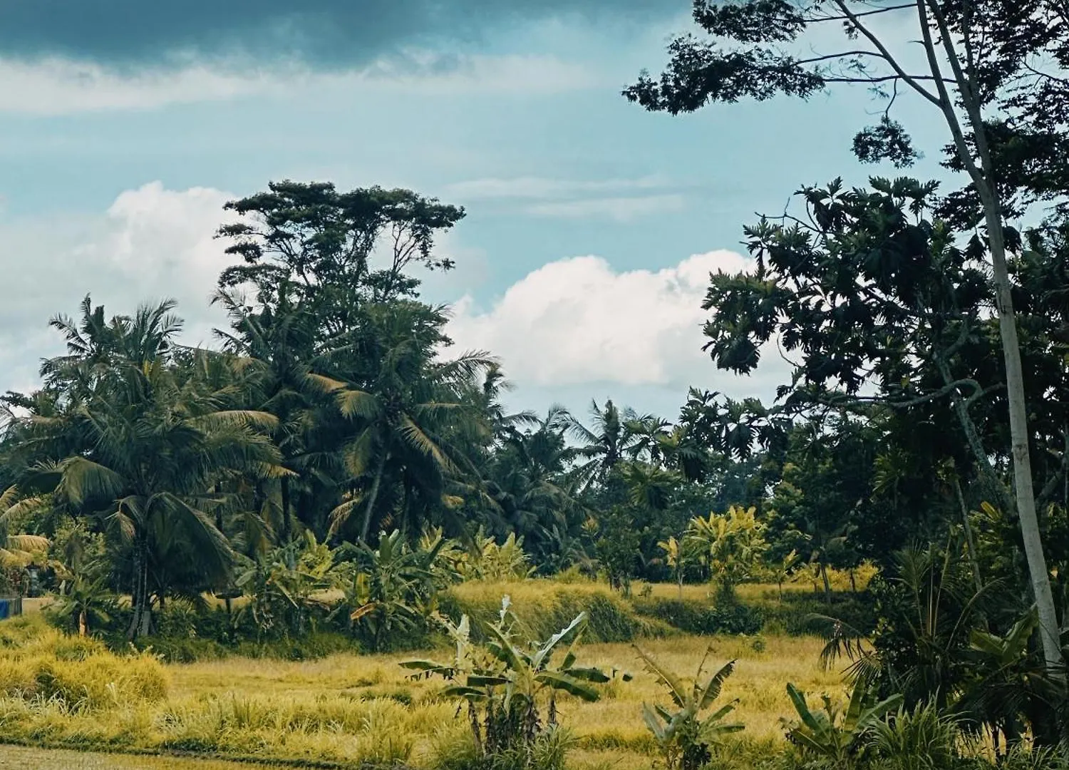 Vila Pondok Damuh Ubud 0*, Ubud (Bali) Indonesia